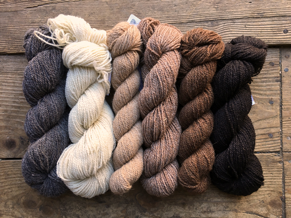 undyed-alpaca