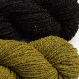 Lauren chose Natural Dark for her main color and Pine Warbler for her accent color