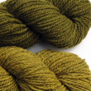 Maureen selected Lichen  for her main color and Pine Warbler for her accent color.