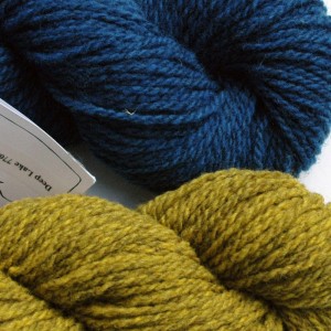 Tracy chose Deep Lake for her main color and Pine Warbler for her contrast color.