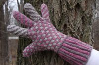 Wonderland Gloves
