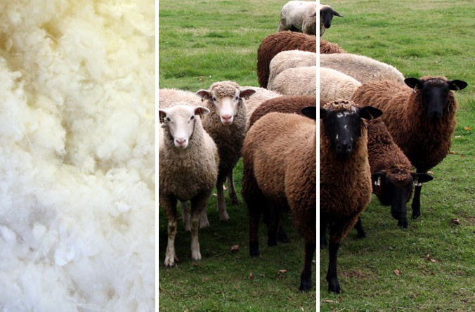 Spinnery slideshow04